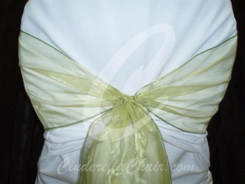 Grape Seed Organza