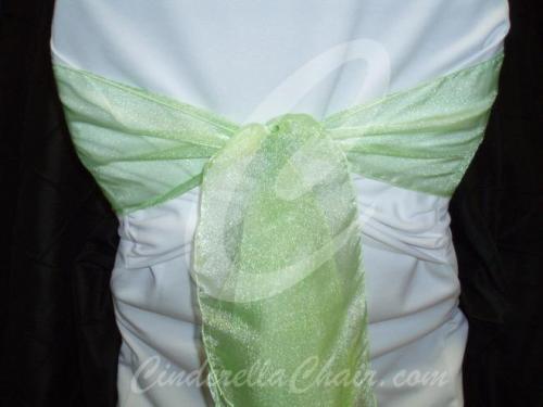 Green Apple Sparkle Organza