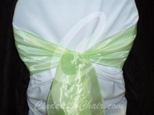 Lime Green Organza