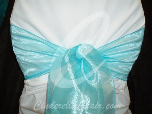 Tiffany Blue Organza