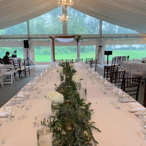 Cinderella Slipons Reception