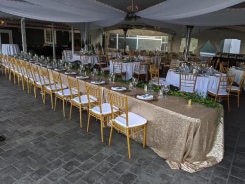 Cinderella Slipons Reception