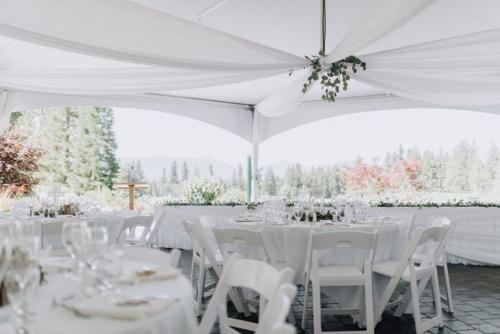 Cinderella Slipons Reception