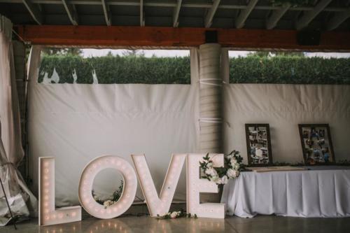 Cinderella Slipons Reception